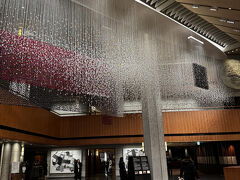 【2025年・2月】韓国・ソウル（新羅ホテル、オダリチプ明洞、バー明洞熱喜）