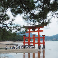 世界遺産を巡る旅　広島・嚴島神社編
