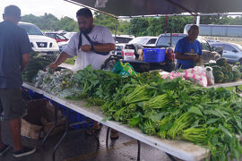グアム(3・４日目)・・・テテド朝市・赤いシャトルバス・ショッピング・スパアユラン・マゼラン
