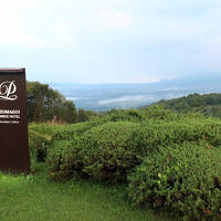 今年の避暑は嬬恋高原へ