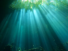 オールインクルーシブ