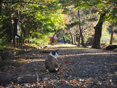 北向観音の御開帳拝観など別所温泉の寺社巡り、それと別所線の可愛い駅も観て回りました