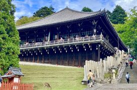 奈良で子どもと歴史を学ぶ旅 ～近鉄特急「あをによし」で行く～【秋の正倉院展、奈良公園、西ノ京、斑鳩、飛鳥】