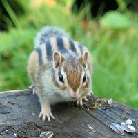 高級宿ツアーおまけの観光で巡る北海道