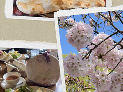 2025年　花も団子も☆春の大阪【3】造幣局で先取り「桜の通り抜け」with JOECOOLさんご夫妻＆食べ歩き