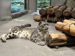 2025秋の札幌☆はじめての円山動物園へ②☆