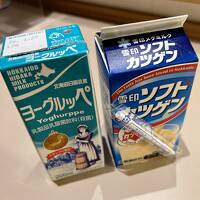 【10/26-27 札幌】来年度のANAダイアモンドメンバーステイタス確定のため札幌へ