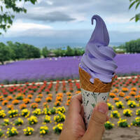 北海道で登別-積丹-富良野と車で走り回った４日間の温泉・食事旅 Part3