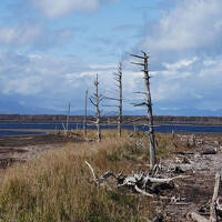 秋色と冬色の道東へ【３】～ようやくのトドワラと晴れの摩周湖～