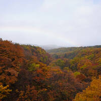 みちのく紅葉絶景めぐり ３日間（1）～八幡平 松川渓谷、角館
