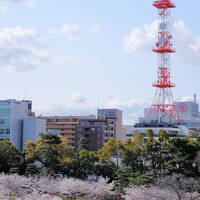 行くなら今でしょ!! 不意に思いついた高松行き 5 最終日