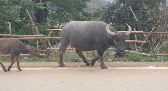 ベトナムの旅行記