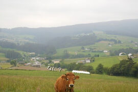 2025サンチャゴ巡礼16 32Vega de Sariegoからオビエド　プリミティボの道出発点