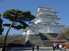 小田原城 菊花展2025　時間が余り熱海巡り