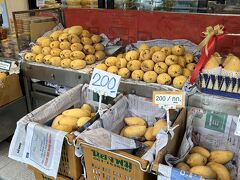 バンコク4泊5日　ホテルステイを満喫した旅　準備編&初日