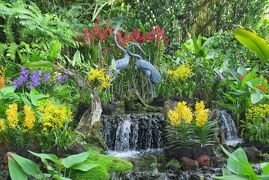 やっぱりいいね！オーキッドガーデン、川沿いのミシュラン店でチリクラブに舌鼓☆シンガポール留学の旅16