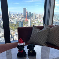 東京・浜松町『フェアモント東京』宿泊記②高層階のコーナースイート「フェアモントゴールドスイートキング」からの眺望は東京タワー＆富士山ビュー♪