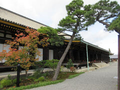 京都 三十三間堂と京料理を楽しむ