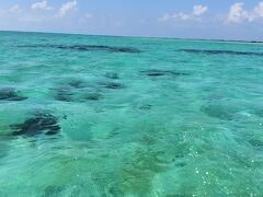 石垣島リベンジ　夫婦2人旅