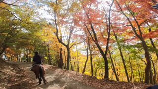 小淵沢・河口湖・御殿場での外乗旅２日目