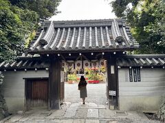 20251113 水無瀬神宮土御門天皇祭献茶式