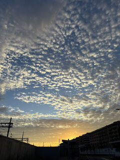 欧州経由oasis行＊’25秋のプー旅・バーリから小旅行編