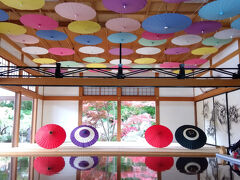 床に映る別世界! 床もみじ見に行こう・宝徳寺