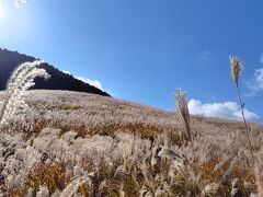 はじめての箱根は日帰り秋散歩　―2025.11―