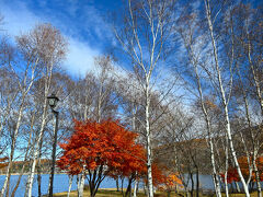 信州紅葉ツーリング　女神湖から白樺湖・霧ヶ峰へそして八ヶ岳原村へ向かいました。