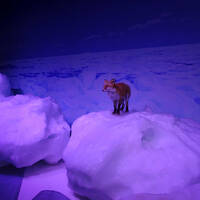 2025 道東の旅（釧路・阿寒湖・北見・網走）6泊7日　5日目