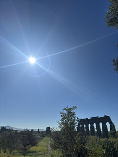 欧州経由oasis行＊’25秋のプー旅・ローマぷらぷら編