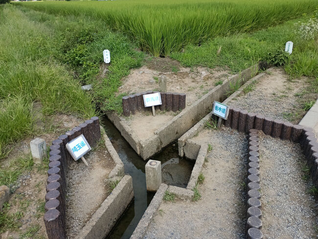 埼玉＆栃木のＢ級でマイナーな観光地めぐり2507「3県境＆おもちゃのまちバンダイミュージアム」　～埼玉＆栃木～