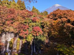 富士山本宮浅間大社