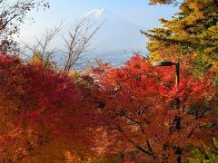 新倉山浅間公園