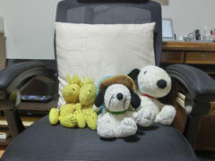 旅行先決定！2027年3月に行くのはANAで行くパース7日間（但し有給が許可されば・・・）