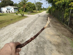 タラマフ・マーケット