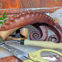 知多半島の旅〈２〉日間賀島を散歩して、料理旅館 かね万別館へ。ゆで蛸が食べたくて♪