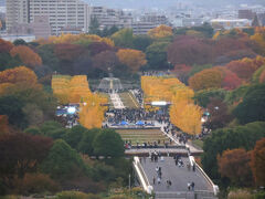 国営昭和記念公園