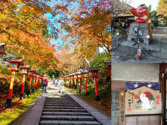 久しぶりに京都へ！ 義経が修行した鞍馬寺と行きたかった猫猫寺（にゃんにゃんじ）へ♪