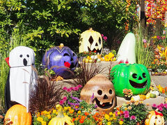 2025「夏から秋に　新潟」<新潟県三条市・小千谷市・長岡市>