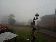 2025サンチャゴ巡礼19 06 Mineroからティネオ 管理人はヒッピー