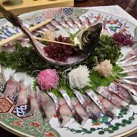 長崎、博多、小倉旅行、その2博多の夜と小倉の夜