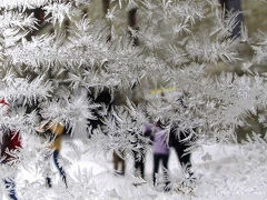 1月のスイスハイキングツアーの記録①