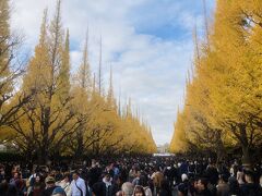 神宮外苑の銀杏並木は激混み