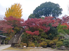 高崎＆長瀞２０２５紅葉　【１】少林山達磨寺