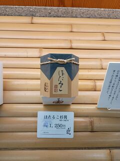 京都⑤ほたるこ買ってマンボ焼き食べて帰る