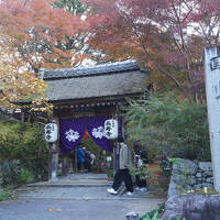 2025.11 滋賀屈指７つの紅葉名所と「湖南三山」「湖東三山」（3）湖南三山・長寿寺