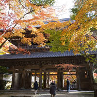2025.11 滋賀屈指７つの紅葉名所と「湖南三山」「湖東三山」（4）永源寺