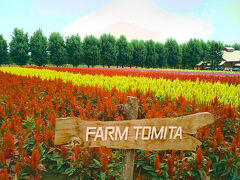 2025年8月　北海道　のびのび大自然の旅　０８／１０