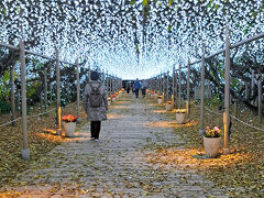 相棒と行く、久しぶりの日帰り旅　2
